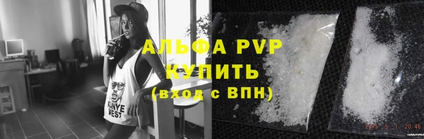 индика Заволжск