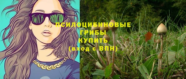 индика Заволжск
