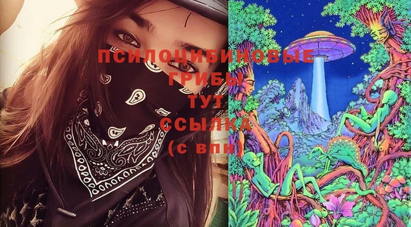 индика Заволжск