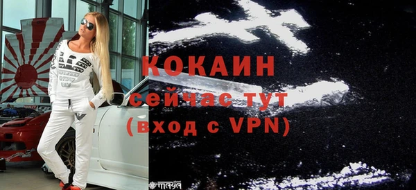 индика Заволжск