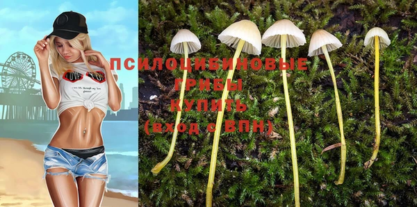 индика Заволжск