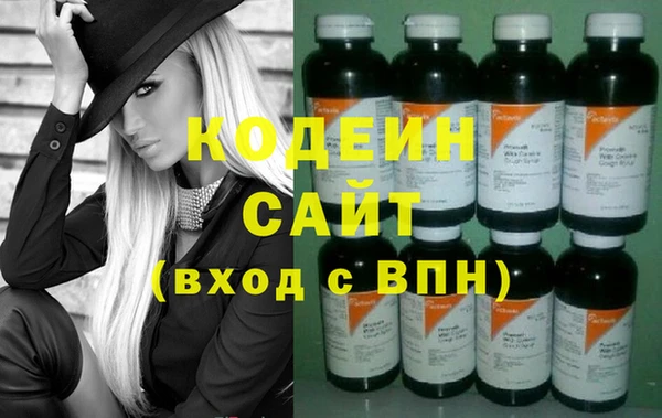 индика Заволжск
