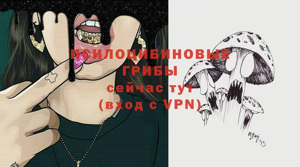 хмурый Заводоуковск