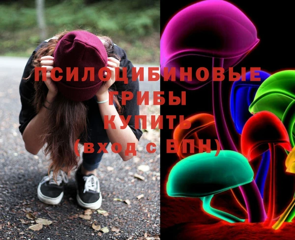хмурый Заводоуковск