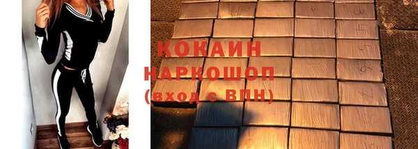 индика Заволжск