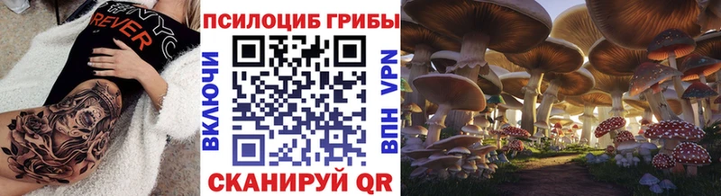 Псилоцибиновые грибы мицелий  Купить закладки  Данков 